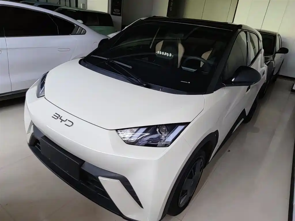 BYD Seagull 2024 Glory Edition 305km Vitality Edition