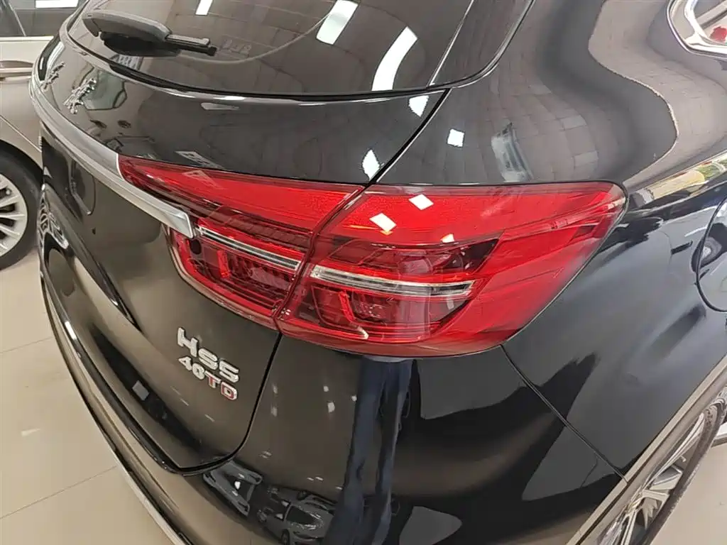 Hongqi HS5 2019 2.0T Smart Connect Enjoy Edition фото 8
