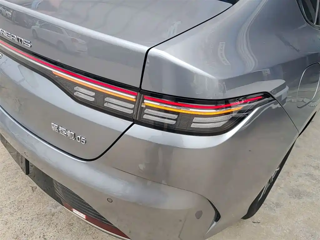 BYD Destroyer 05 2023 Champion Edition DM-i 55KM Luxury фото 8