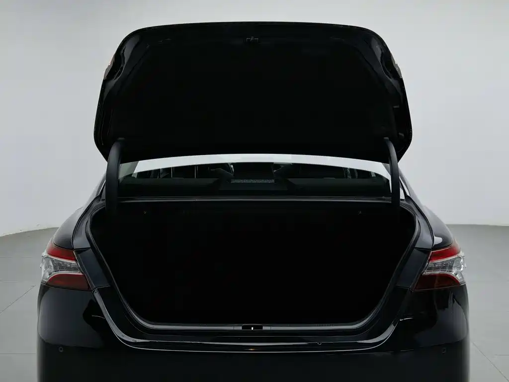 Toyota Camry 2023 2023 2.5G Luxury Edition