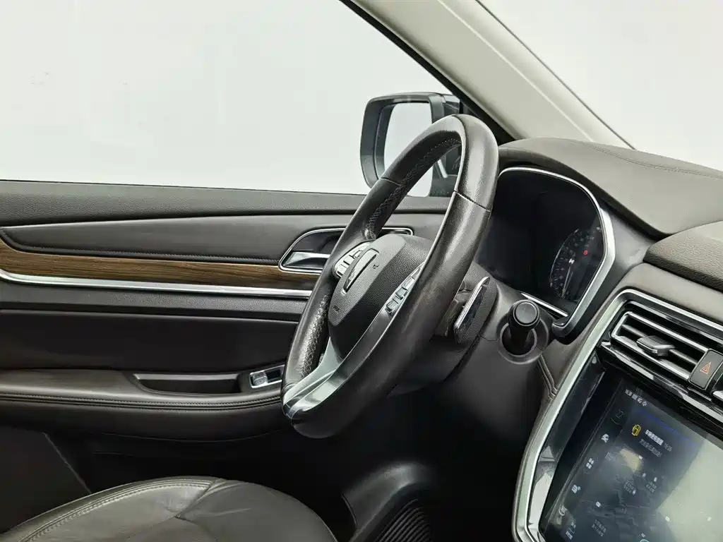 Фото 22 - Roewe RX8