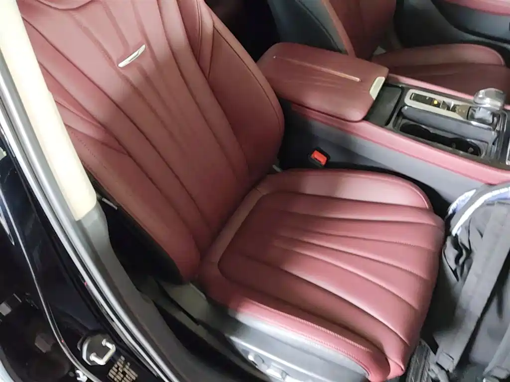 Hongqi H5 2023 1.5T DCT Smart Connect Flag Rhythm фото 25