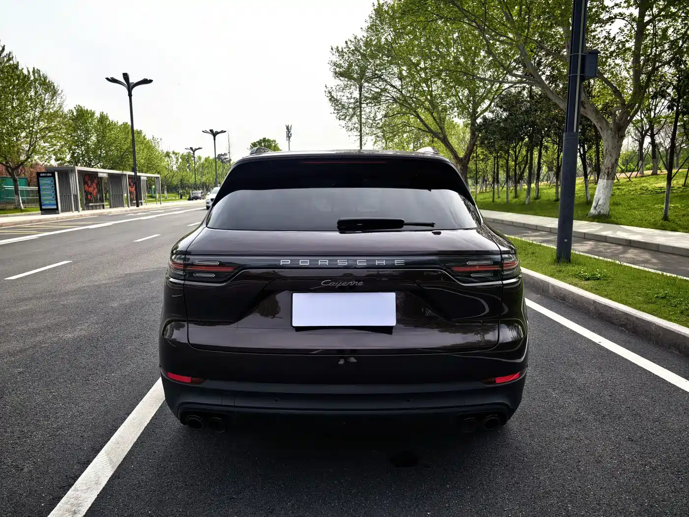 Porsche Cayenne 2023 Cayenne 3.0T Platinum Edition фото 11