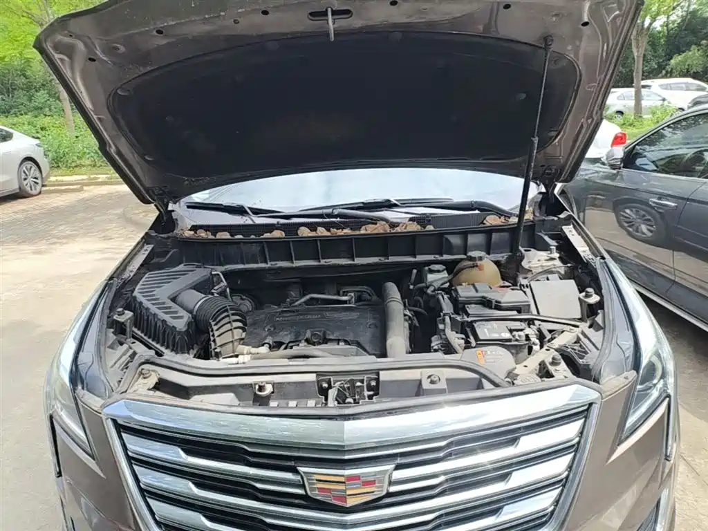 Cadillac XT5 2016 25T Luxury Model фото 20