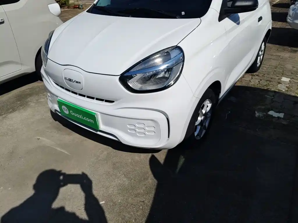 Roewe Clever 2024 2022 311km Vitality Bobo Edition