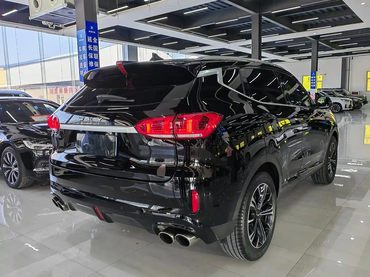 WEI PAI WEI BRAND VV6