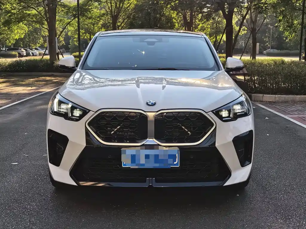 BMW X2 (Import) 2025 2024 sDrive25i M Sport Package