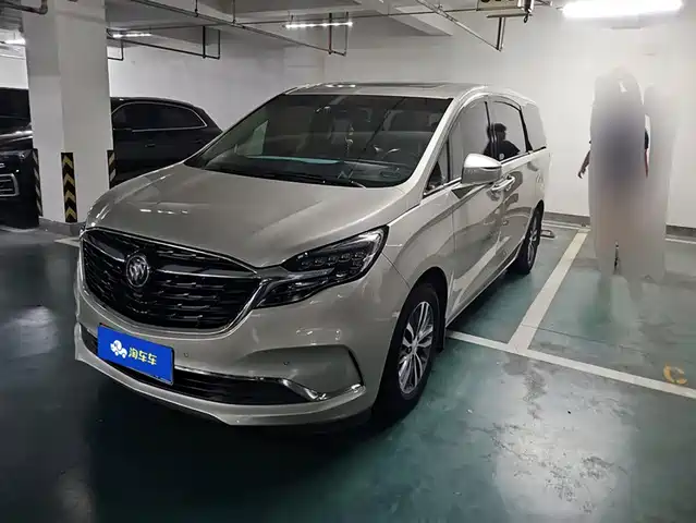 Buick GL8 ES Люкс, 653T, Престиж