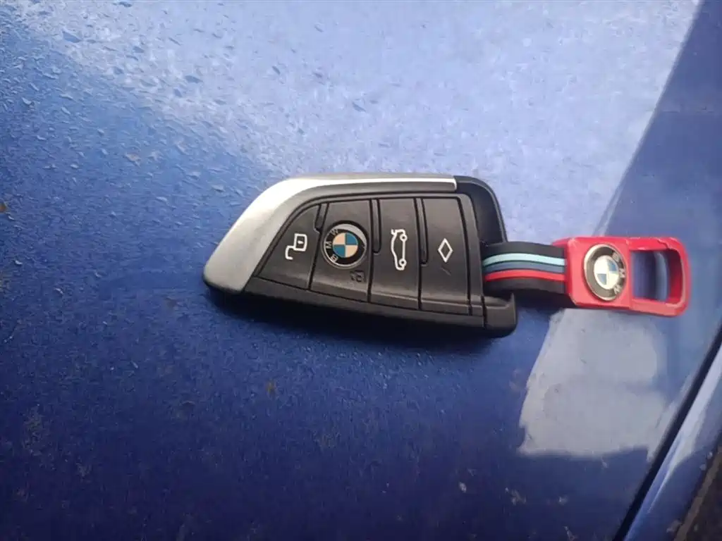 BMW 3 Series 2021 325Li M Sport Package фото 9