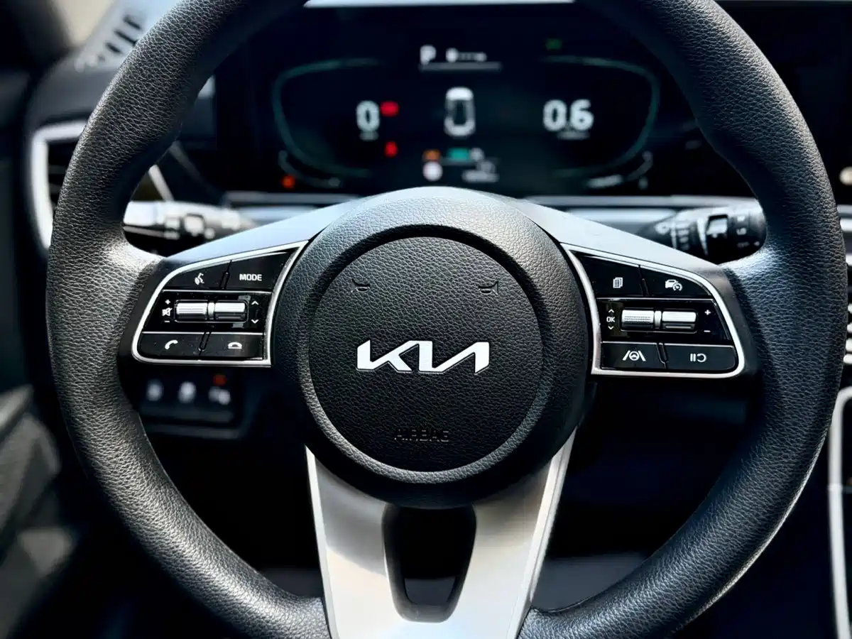 Kia Seltos 2023 1.5L CVT Luxury Edition фото 20