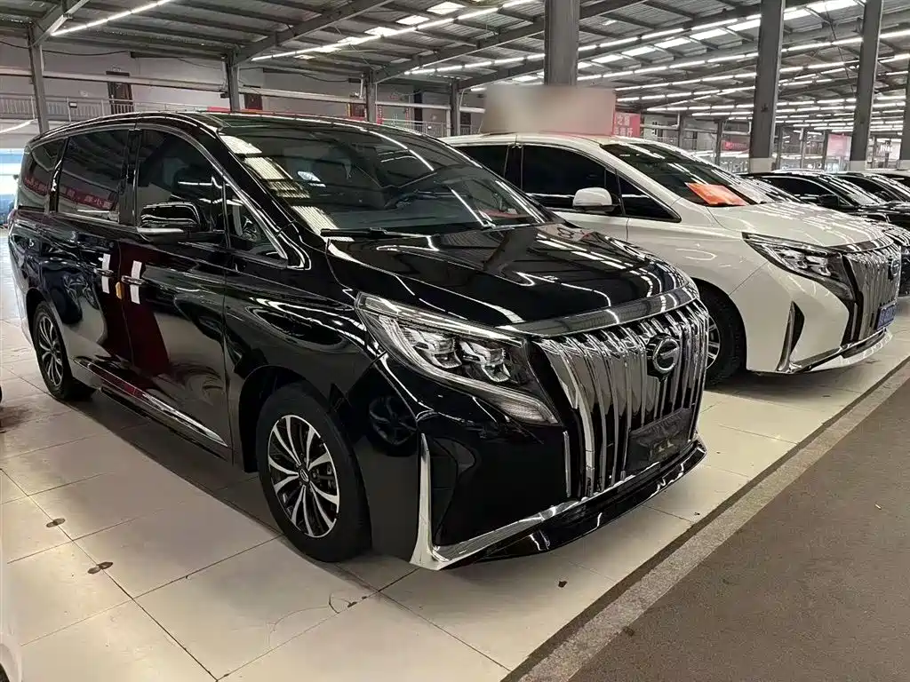 GAC Trumpchi Trumpchi M8 2023 Leading Series 390T Premium Edition фото 9