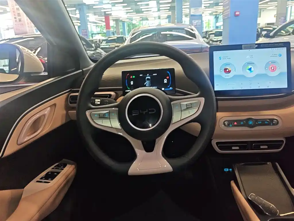 BYD Seagull 2025 Smart Drive Edition 305km Vitality Version фото 11