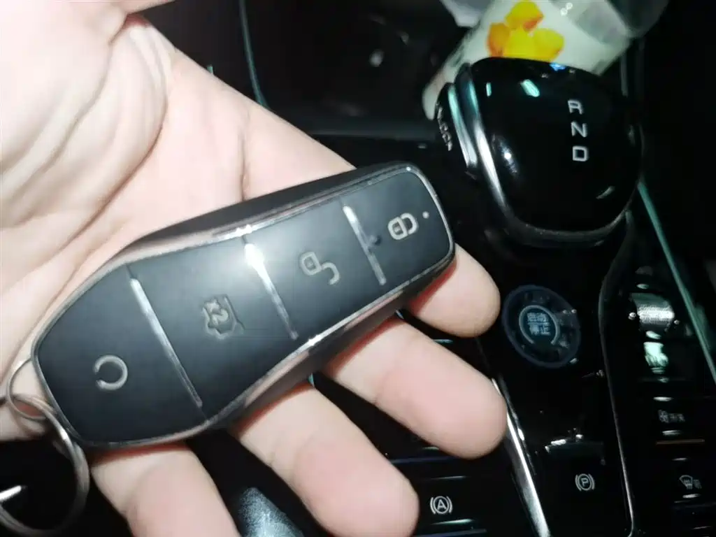 BYD Qin PLUS 2024 Glory Edition DM-i 55KM Surpass фото 9