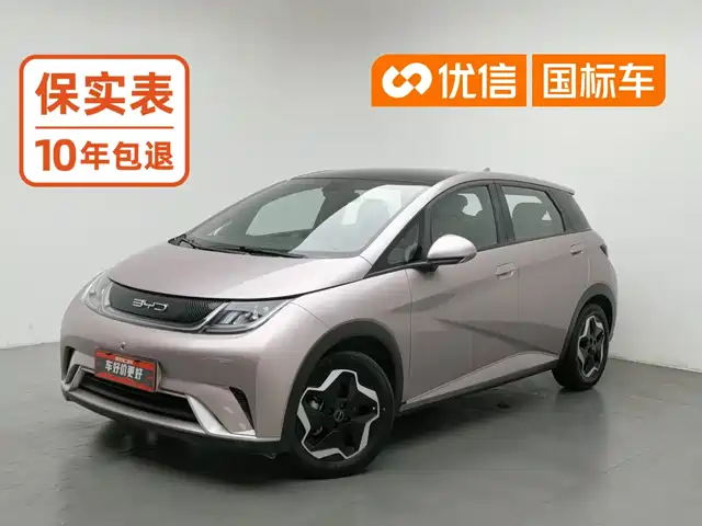 BYD Dolphin 2021 Model 405km Fashion Edition — фото 1