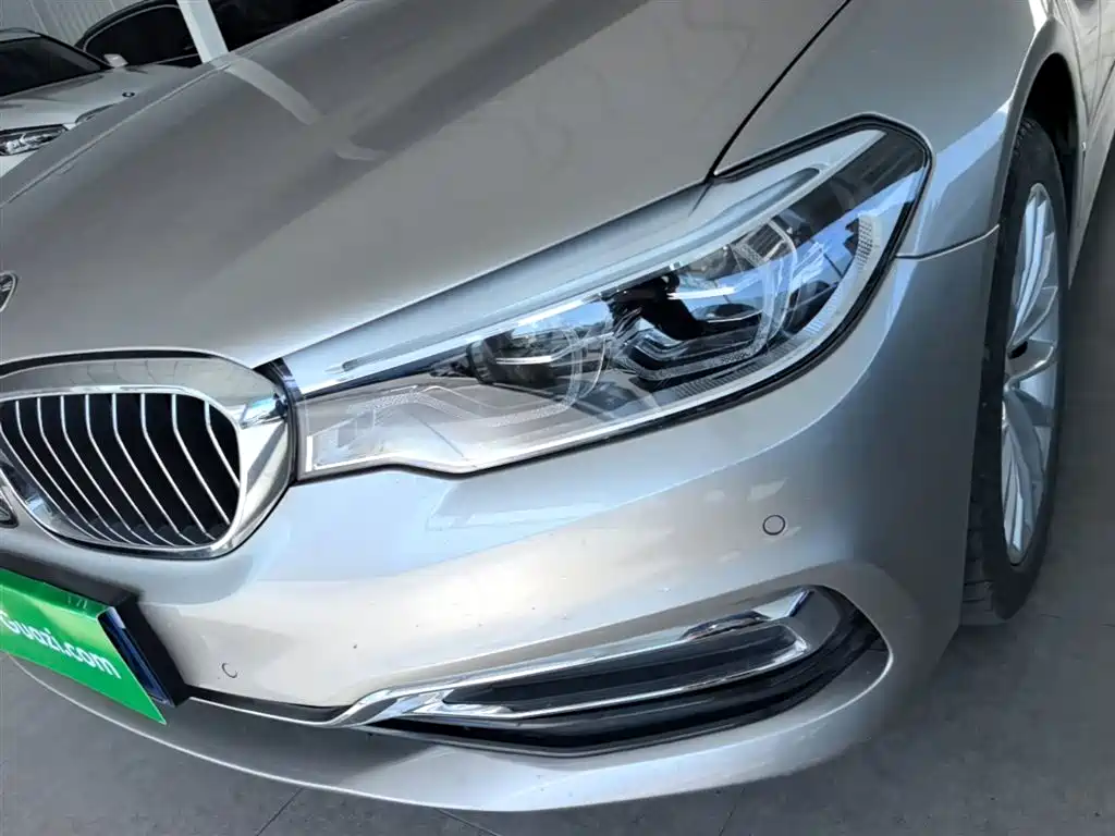 BMW 5 Series 2020 530Li Leading Luxury Package фото 24