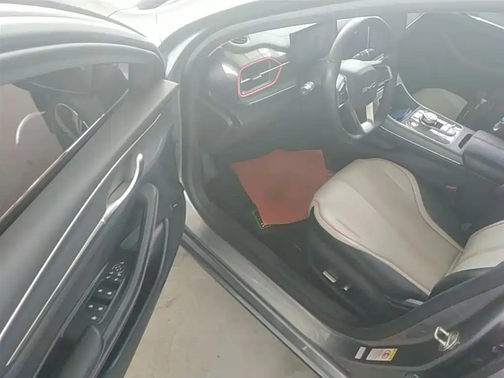 BYD Destroyer 05 2022 DM-i 55KM Luxury фото 12