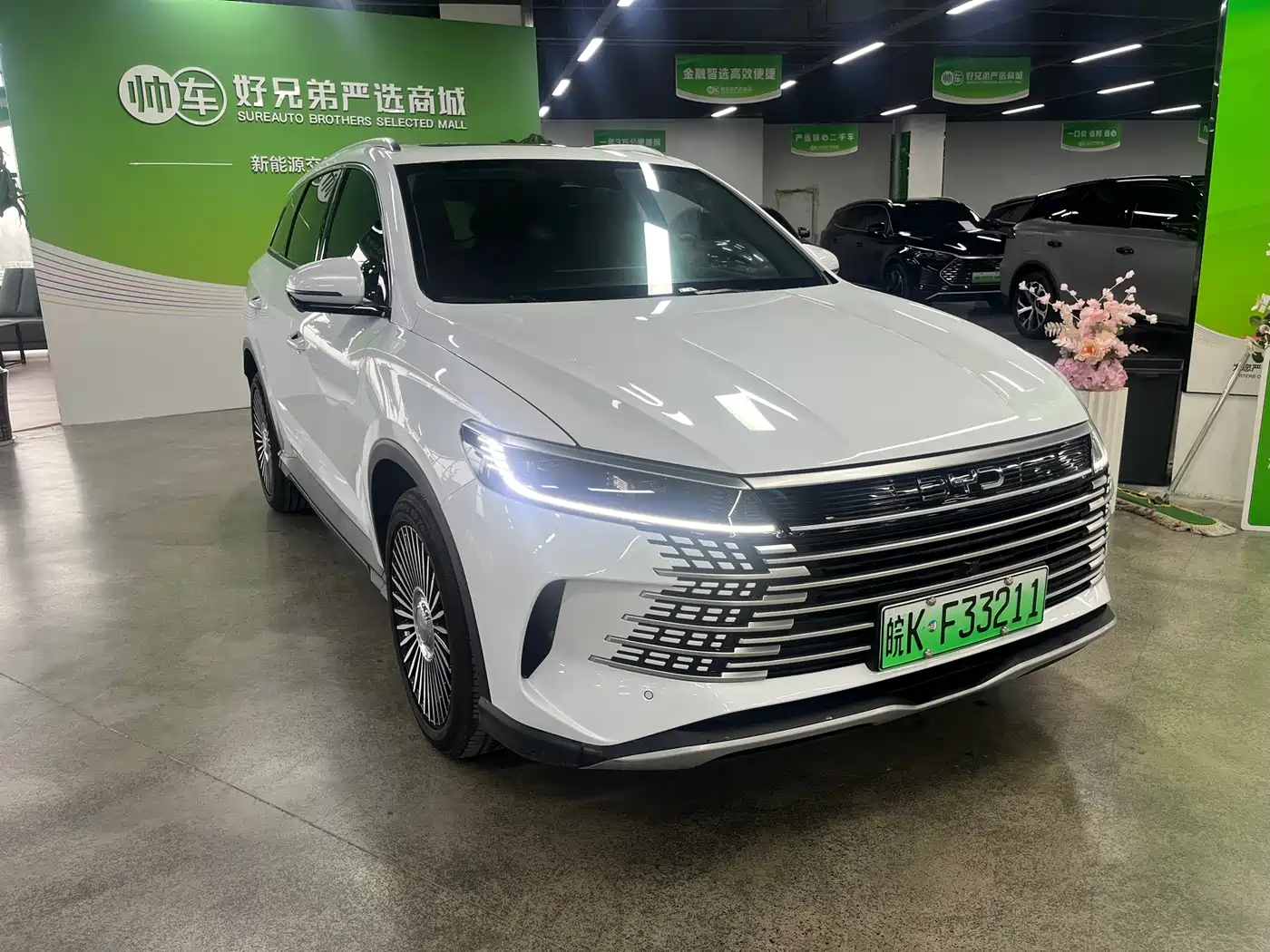 BYD SEA LION 05 DM I