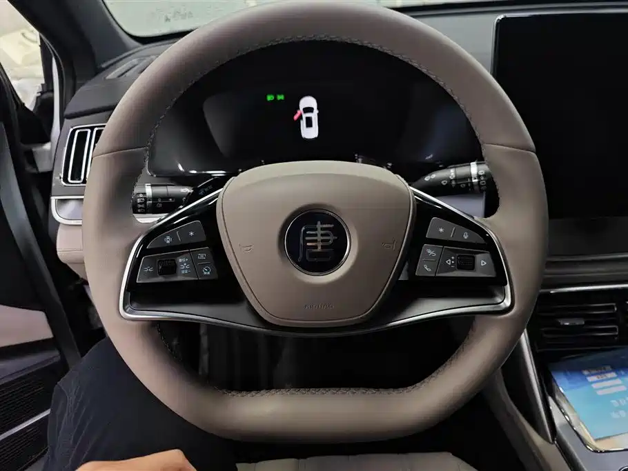 BYD Tang New Energy 2025 Smart Driving Edition DM-i 115KM Premium фото 15