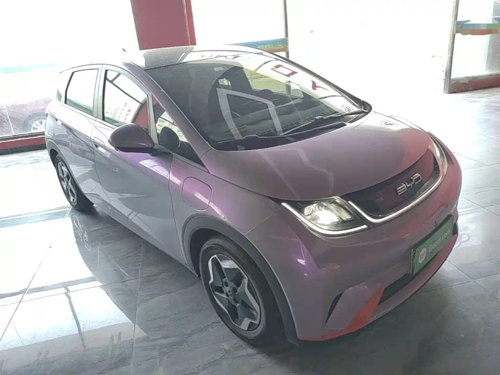 BYD Dolphin 2021 Model 405km Fashion Edition фото 4