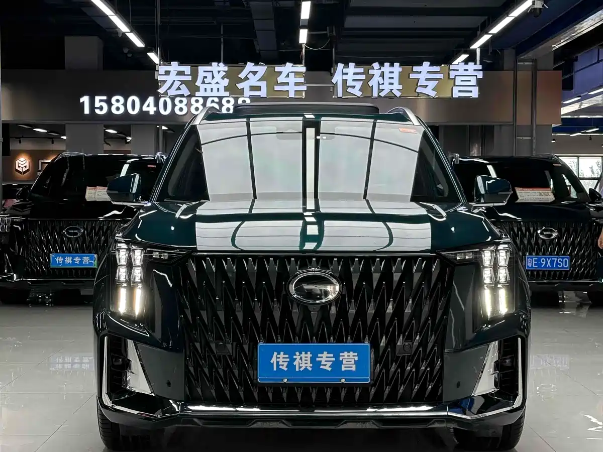 GAC Trumpchi Trumpchi GS8 2024 Dual Engine Series 2.0TM 4WD Premium Edition фото 2