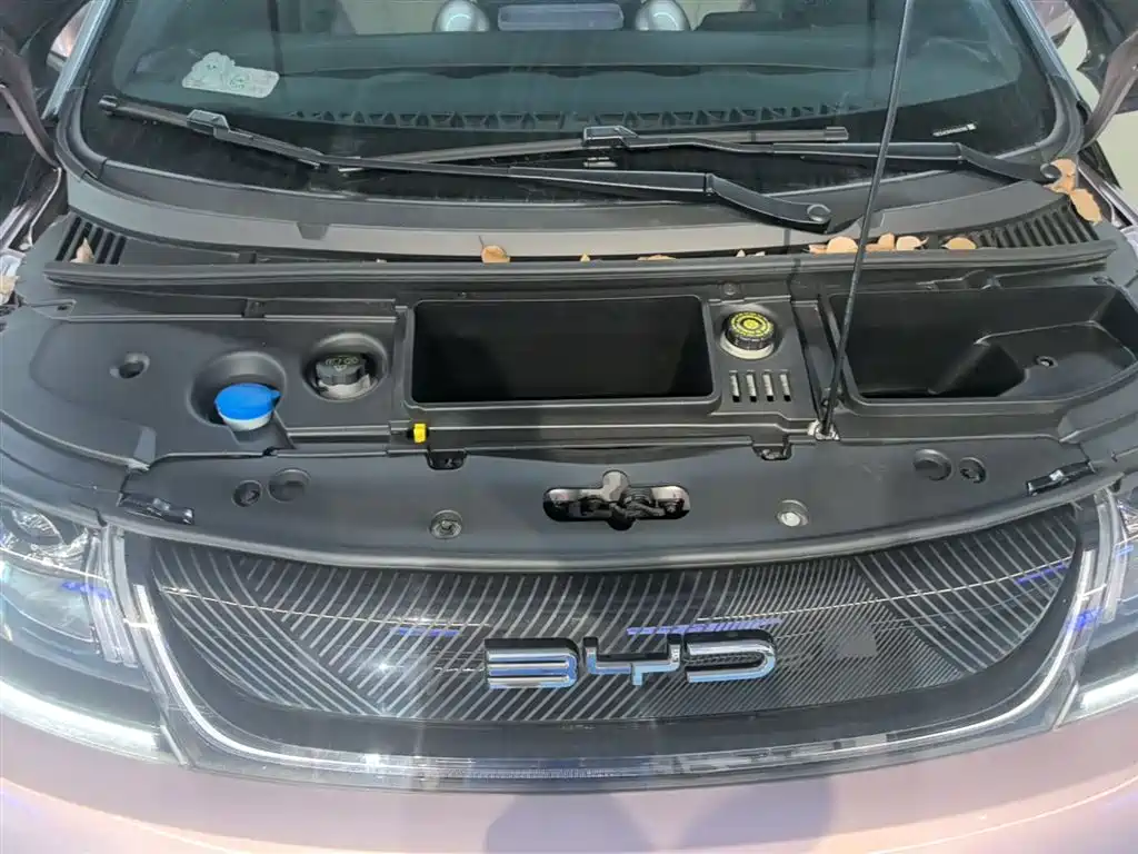 BYD Dolphin 2023 401km Knight Edition фото 20
