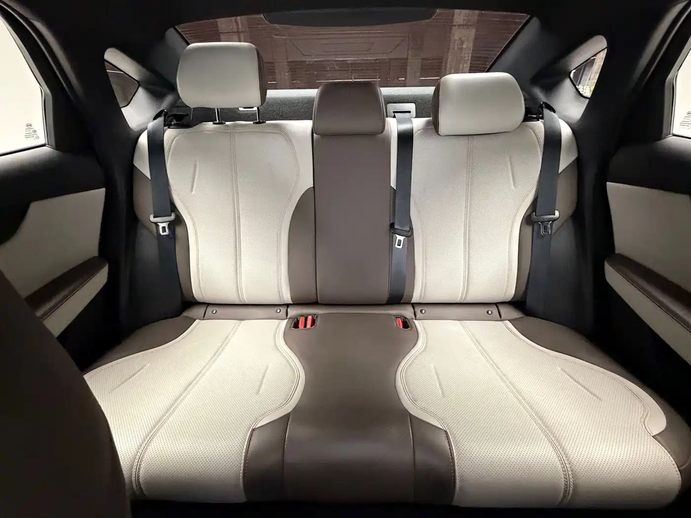 BYD Qin PLUS 2023 Champion Edition DM-i 55KM Leading фото 15
