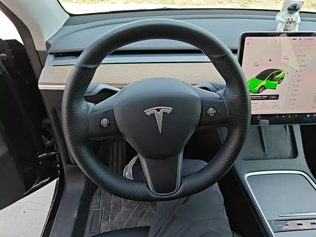 Tesla Model Y 2021 2021 Standard Range Rear-Wheel Drive