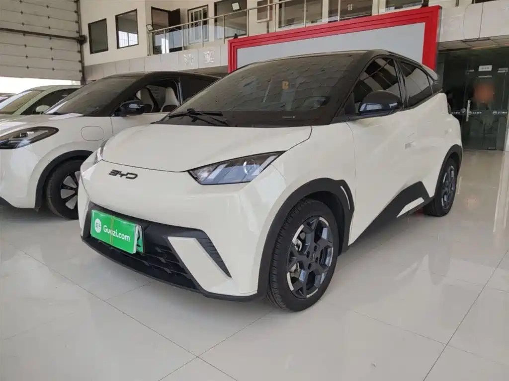 BYD Seagull 2023 Vitality Edition
