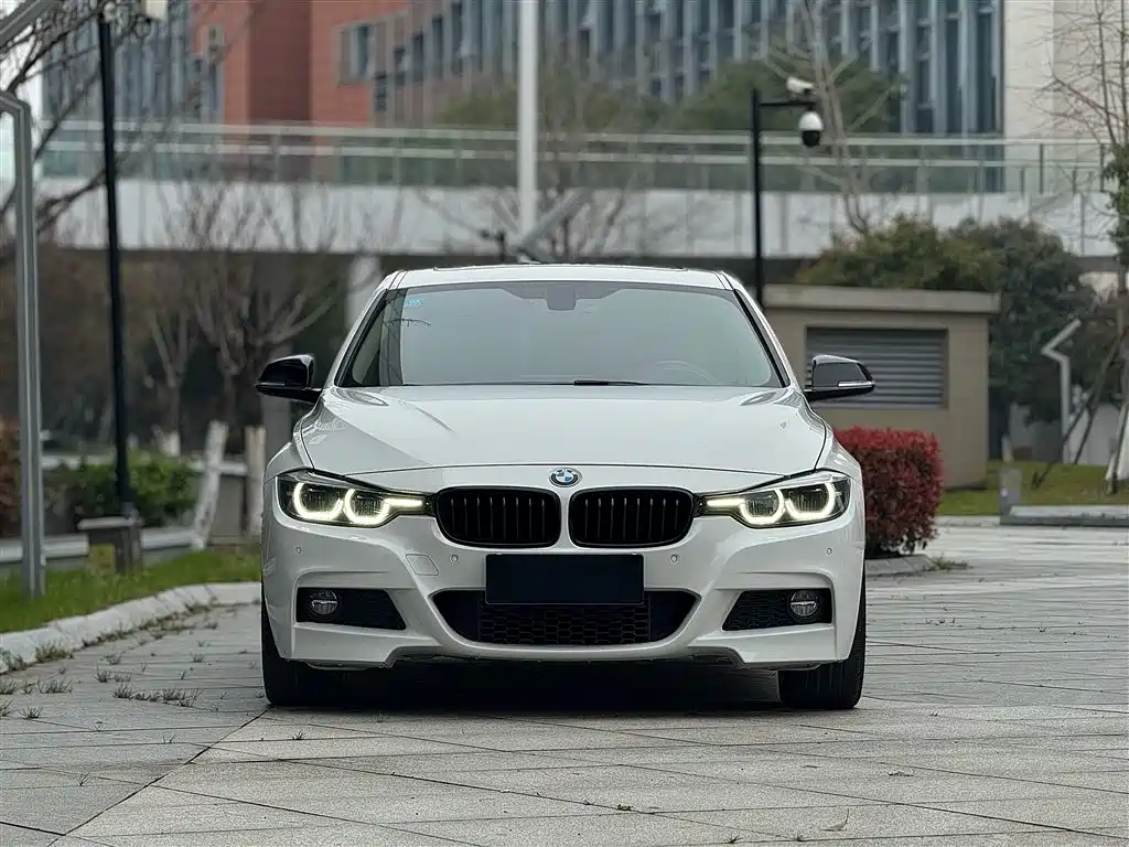 BMW 3 Series 2019 320Li M Sport Black Night Edition фото 2