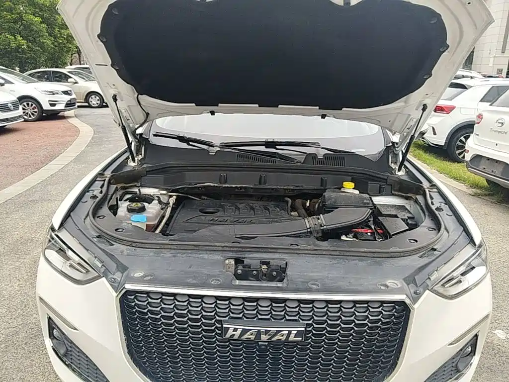 Haval F5 2020 2020 1.5T DCT i-Glam