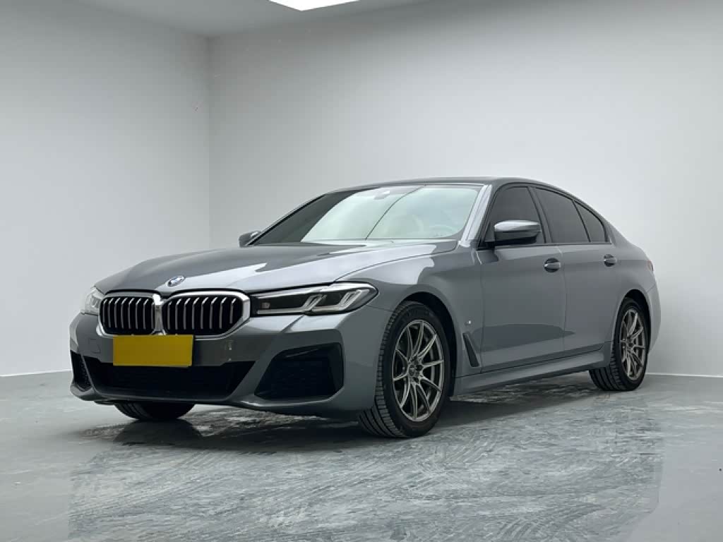 BMW 5 Series (Import)