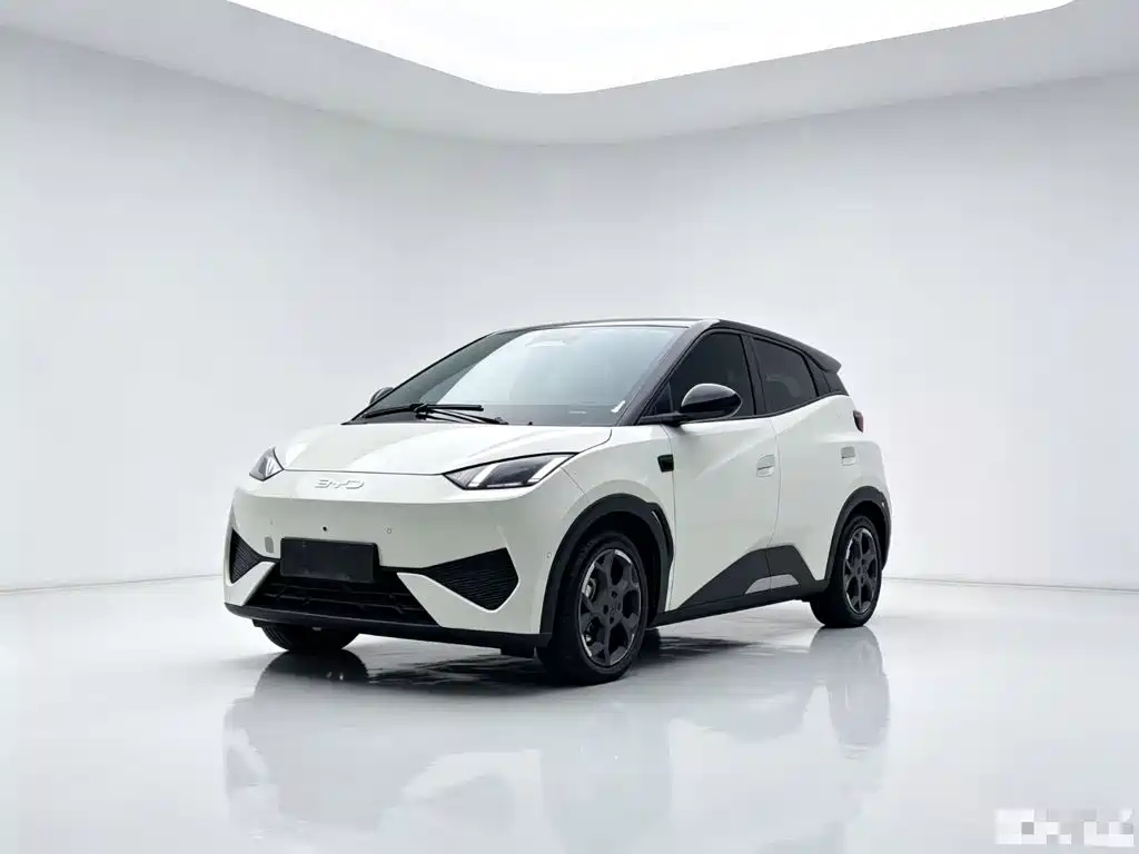 BYD Seagull 2026 2025 Smart Drive Edition 305km Freedom Version