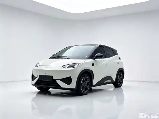 BYD Seagull Система помощи водителю, 305km, Свобода