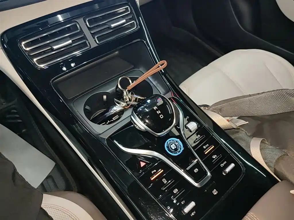 BYD Qin PLUS 2024 Glory Edition DM-i 55KM Leading фото 14