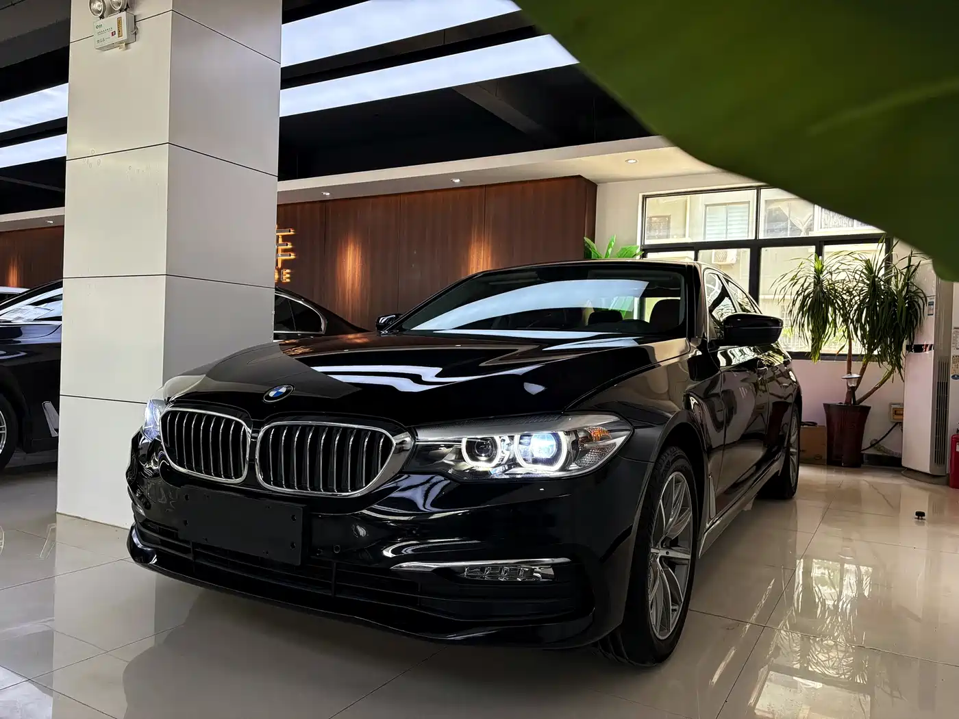 BMW 5 Series 2018 528Li Launch Special Edition