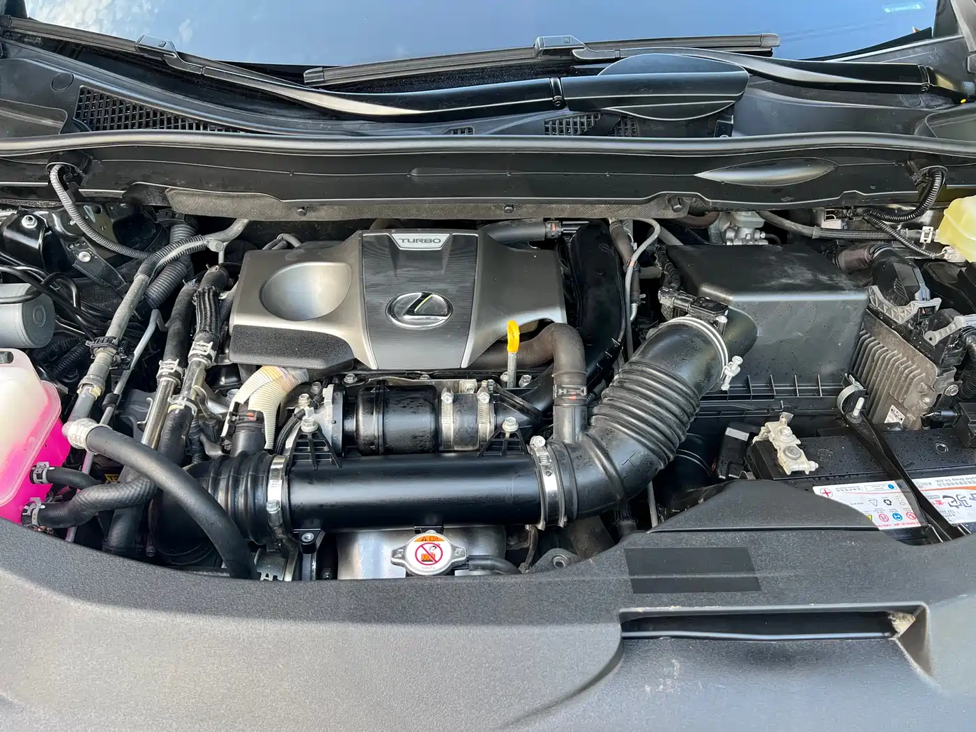 LEXUS RX
