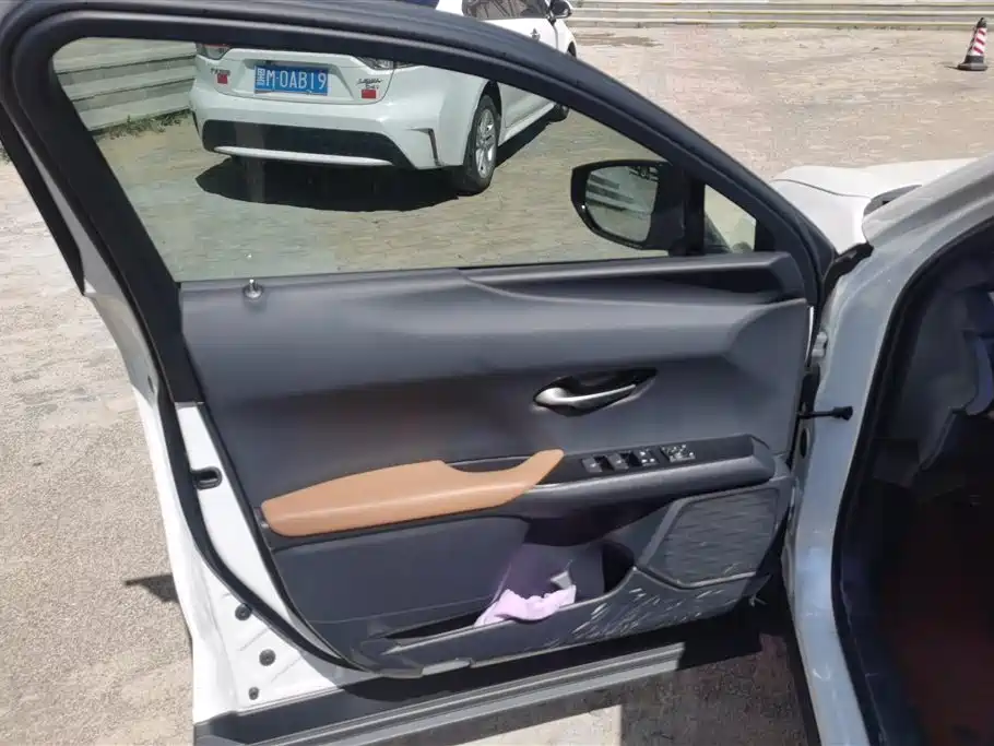 Lexus UX 2020 260h Explore Cool Edition фото 7