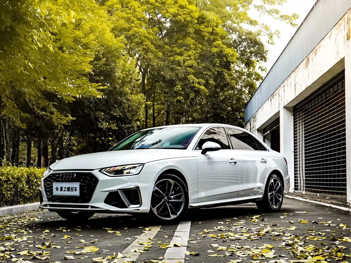 Audi A4L 2020 40 TFSI Fashion Dynamic Edition
