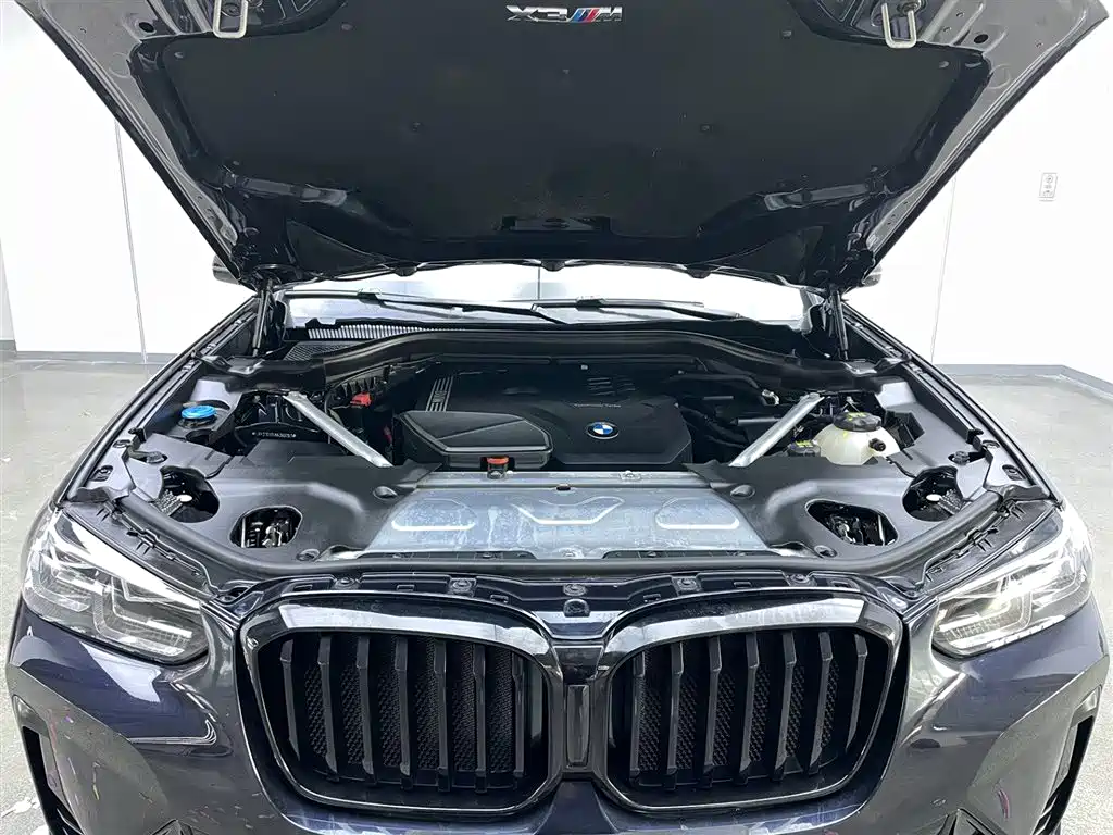 BMW X3 2022 xDrive30i Leading M Night Package фото 31