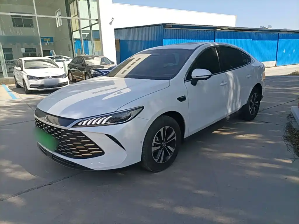 BYD Qin PLUS 2025 DM-i Smart Drive Edition 120KM Surpassing Type