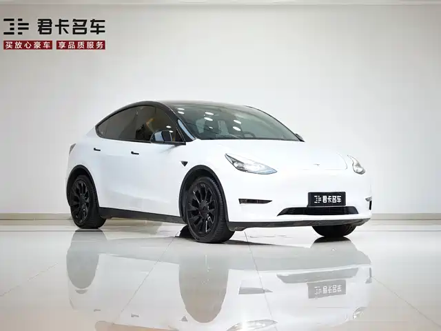 Tesla Model Y 2021 Standard Range Rear-Wheel Drive — фото 4