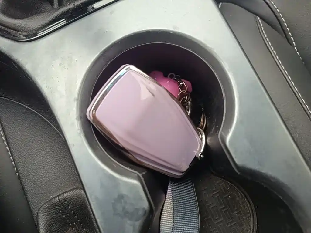 Фото 9 - Geely Emgrand