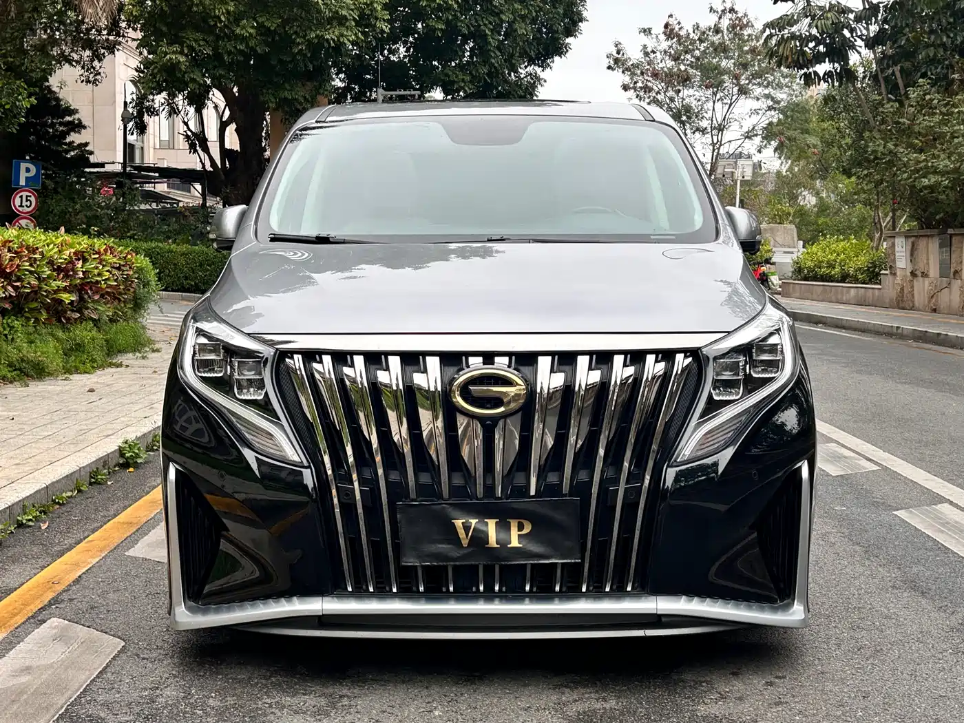 GAC Trumpchi Trumpchi M8 2021 Master Series 390T 4-Seat Glory Edition фото 2