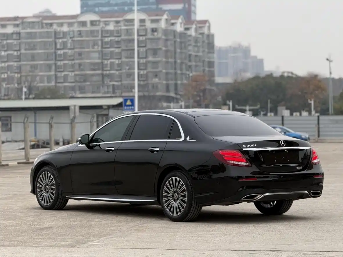 Mercedes-Benz E-Class 2020 E 300 L Luxury Model фото 14