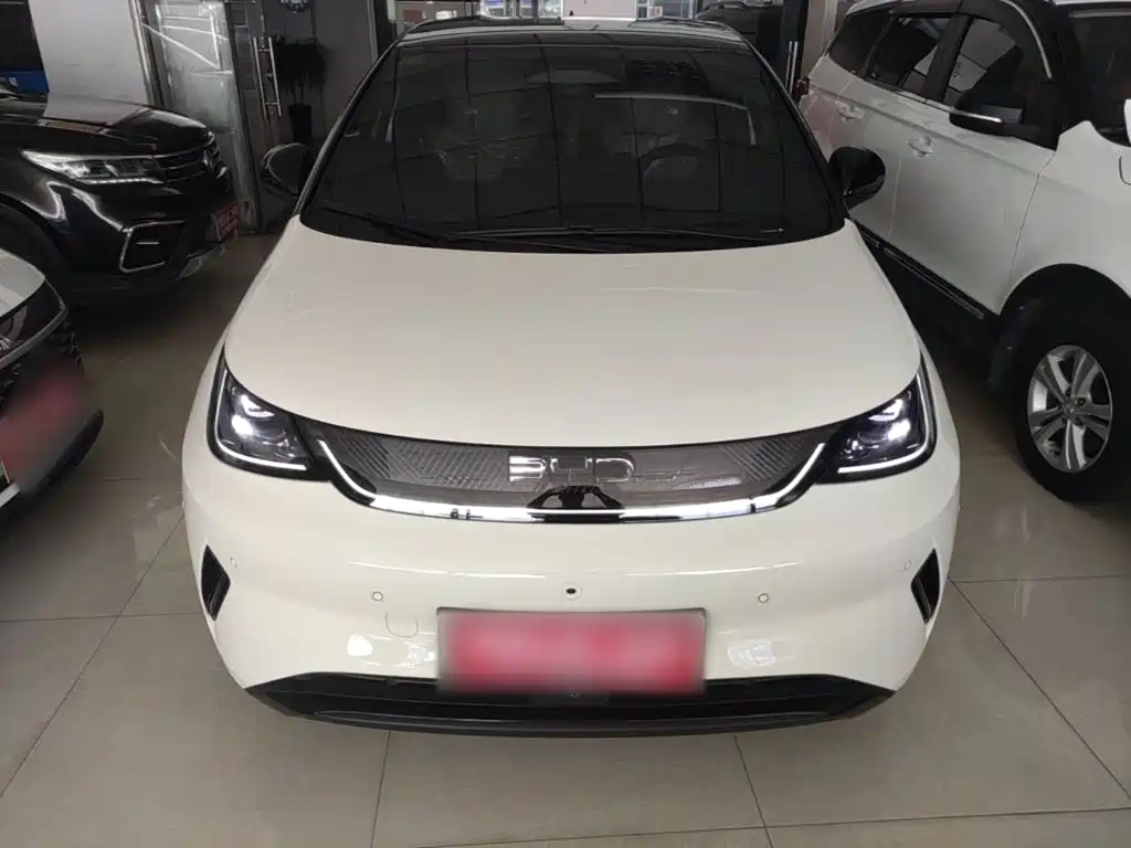 BYD Dolphin 2026 2025 Smart Drive Edition 420km Freedom Version
