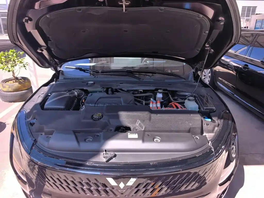 صورة 20 - Wuling Motors Wuling Xingguang