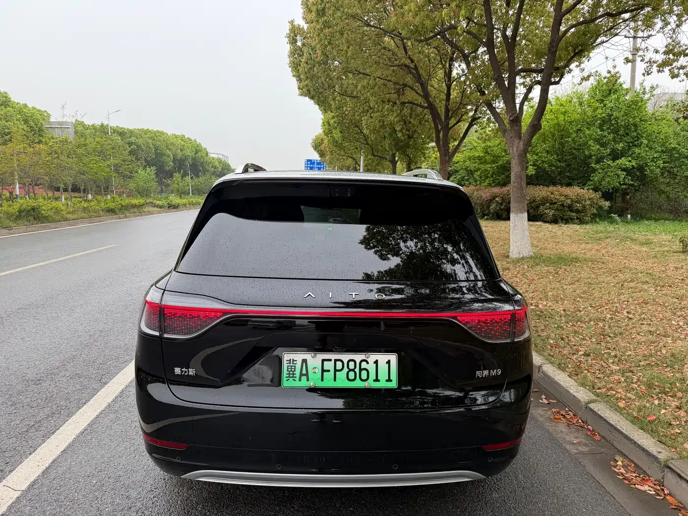 AITO Wenjie AITO M9 2025 Extended Range Ultra 52kWh 6-Seater фото 5