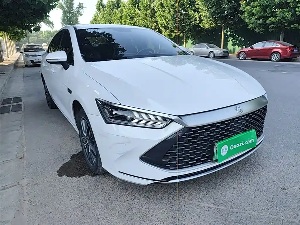 BYD Qin PLUS 2023 Champion Edition DM-i 120KM Leading Type фото 4