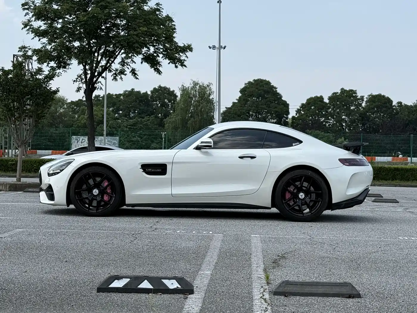 Mercedes-Benz AMG GT 2019 AMG GT фото 4