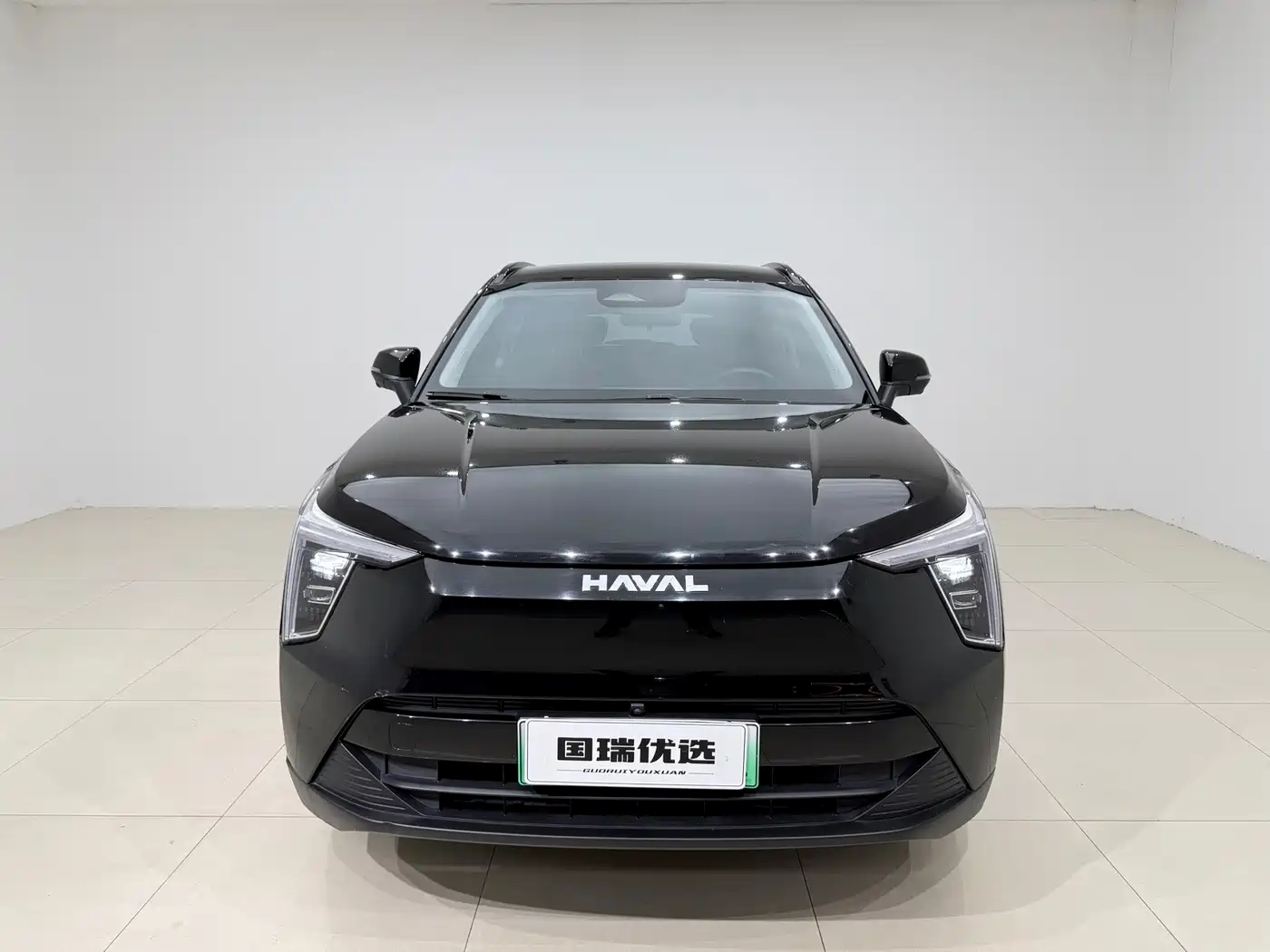 Haval Xiaolong 2024 2023 1.5L 110KM Leading Edition